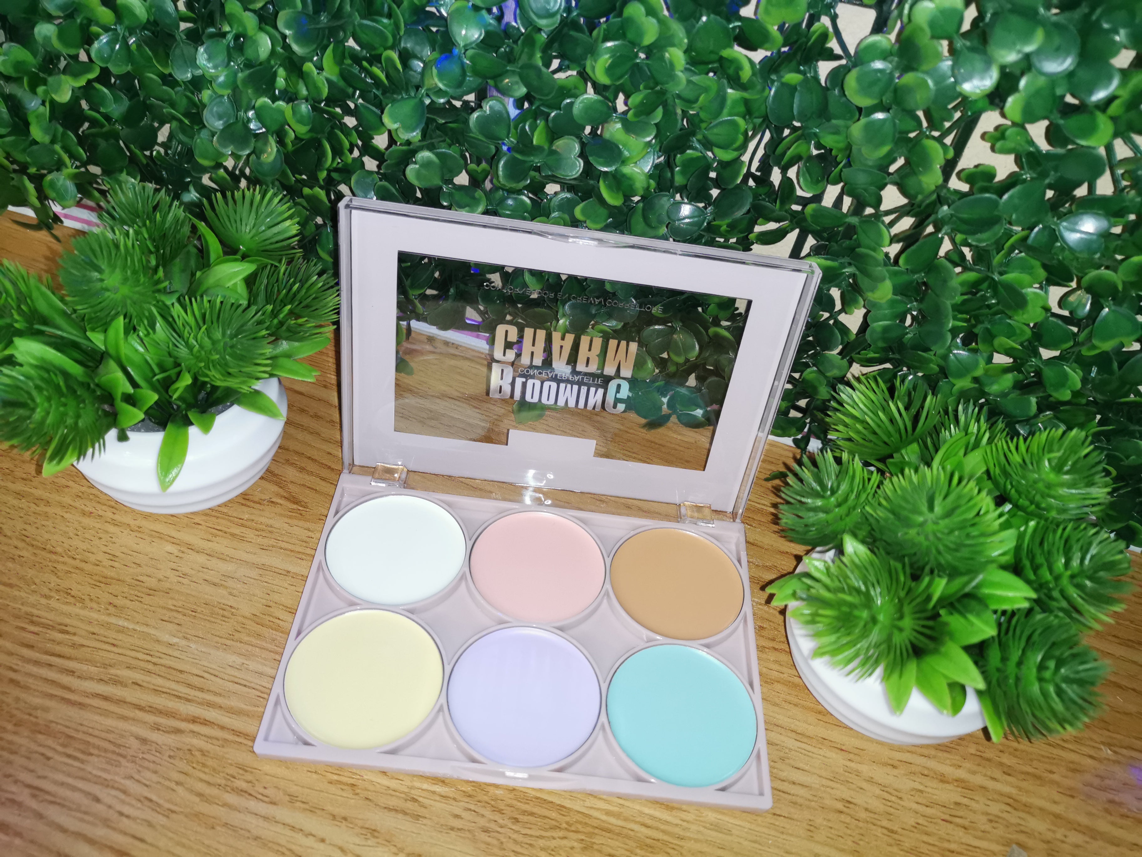 Colour Corrector Palette